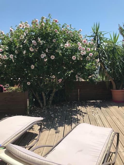 Appartement Sur La Colline Avec Acces Piscine Volx Dış mekan fotoğraf